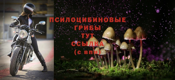 метадон Дмитриев