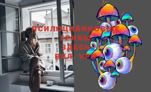 гашишное масло Дмитровск