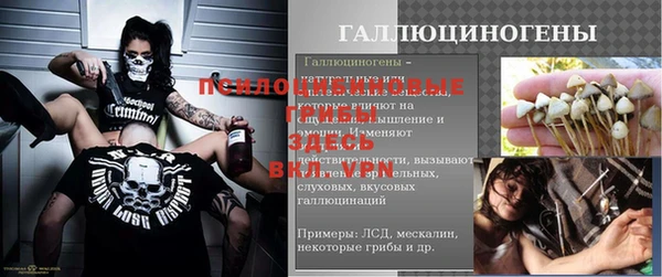метадон Дмитриев