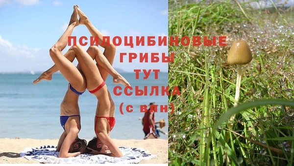 кокс Дмитров